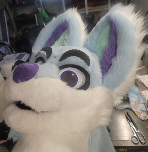 Aspenice Head